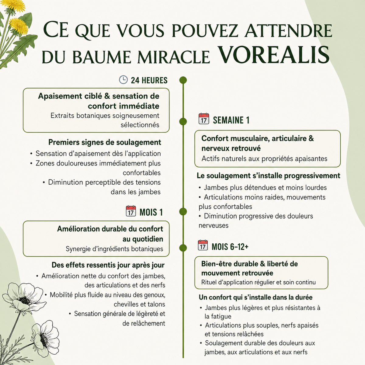 Baume Confort Vorealis